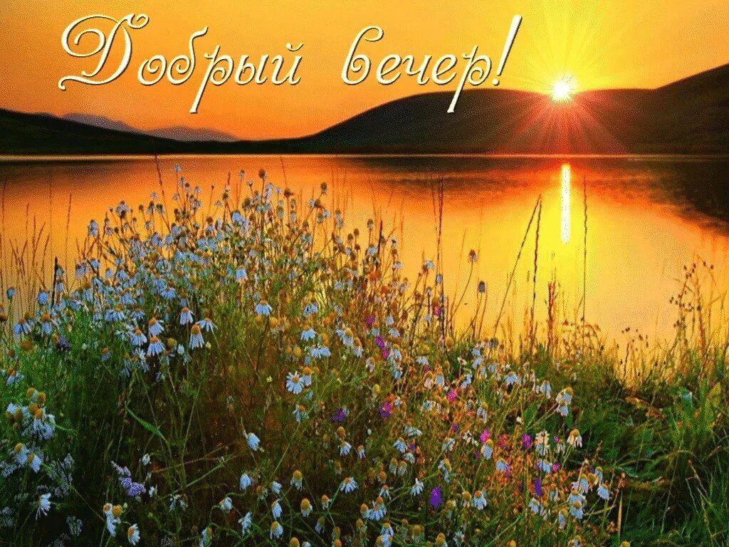 Удачного дня природа