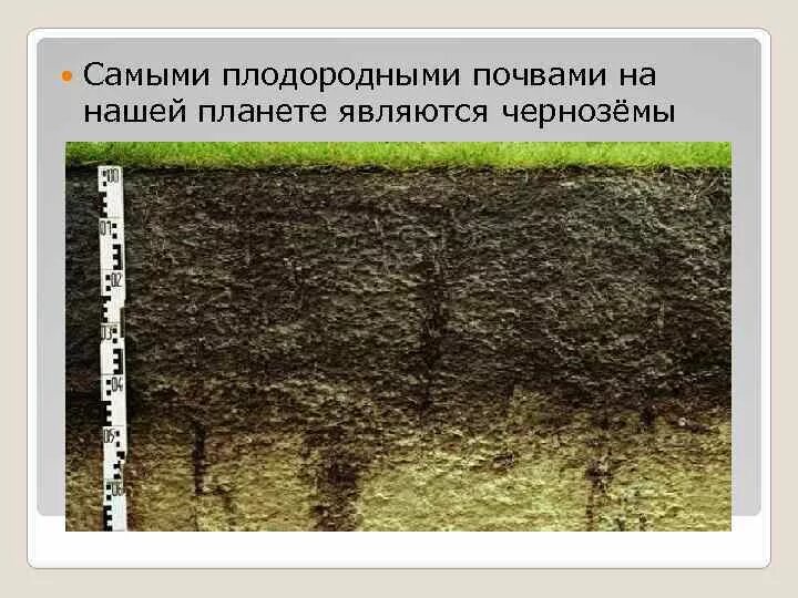 Регионы россии по степени уменьшения естественного плодородия. Самая не плодородная почва. Самыми плодородными почвами являются. Самые плодородные почвы. Самой плодородной почвой является.