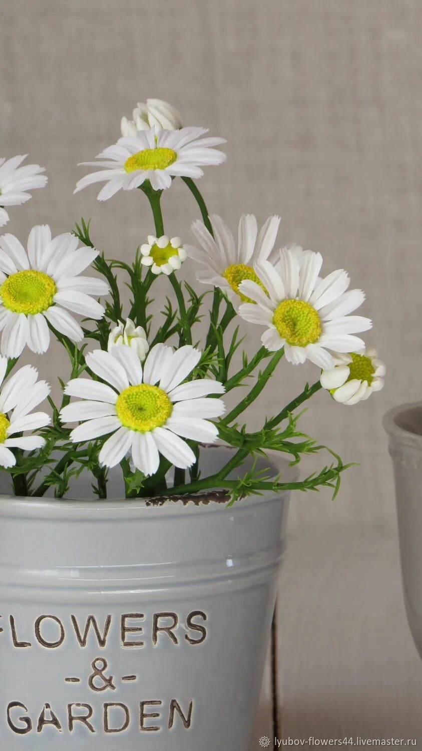 Ромашка крепит. Интерьерные цветы ромашки. ромашки из холодного фарфора. ромашка ручной работы. ромашки из магазина.