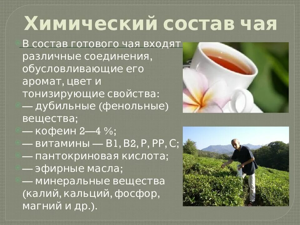 Какое вещество содержит чай