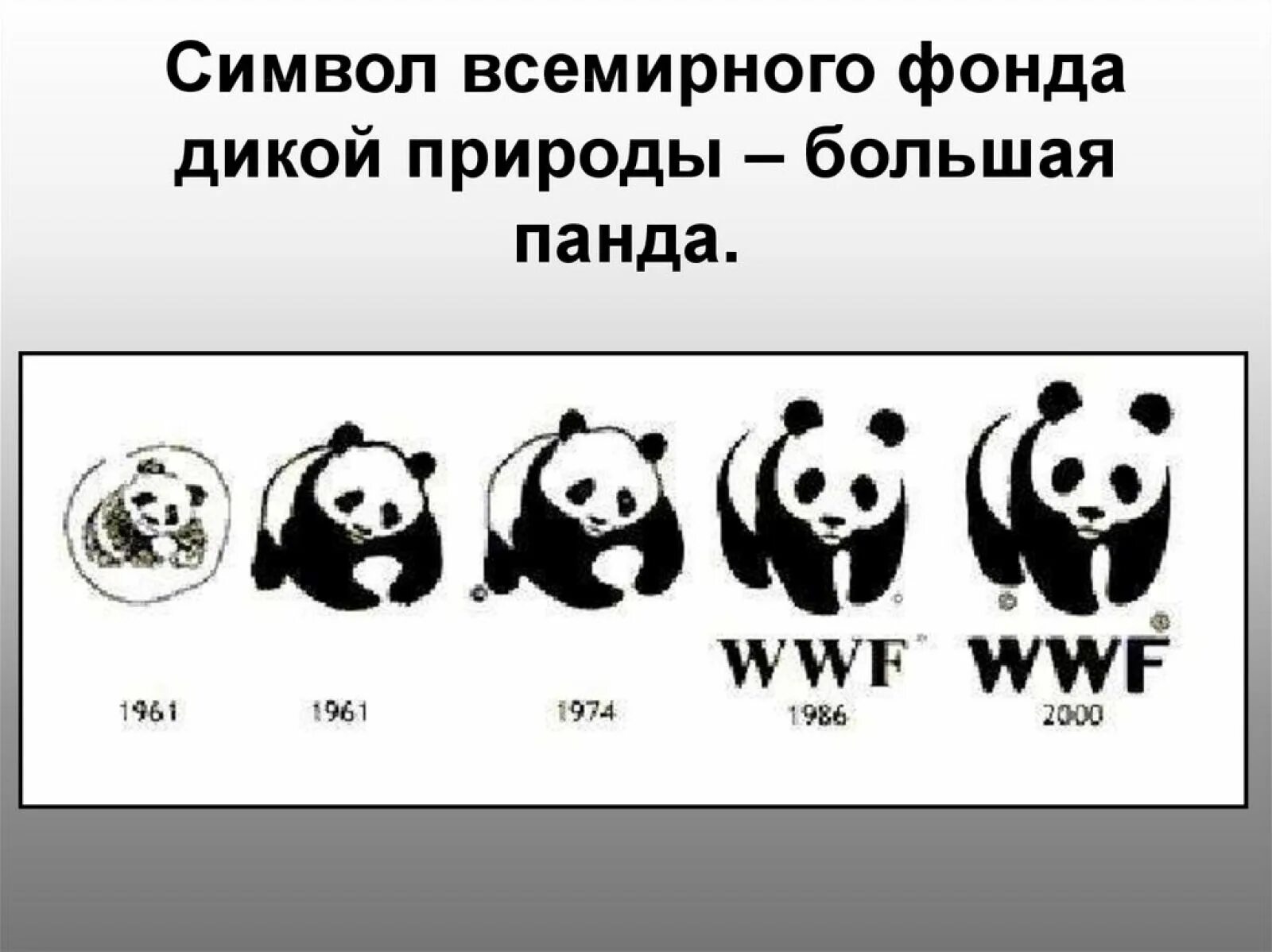 Фонд дикой природы WWF В России. Панда Всемирный фонд дикой природы. Всемирный фонд дикой природы эмблема. Большая Панда символ Всемирного фонда дикой природы.