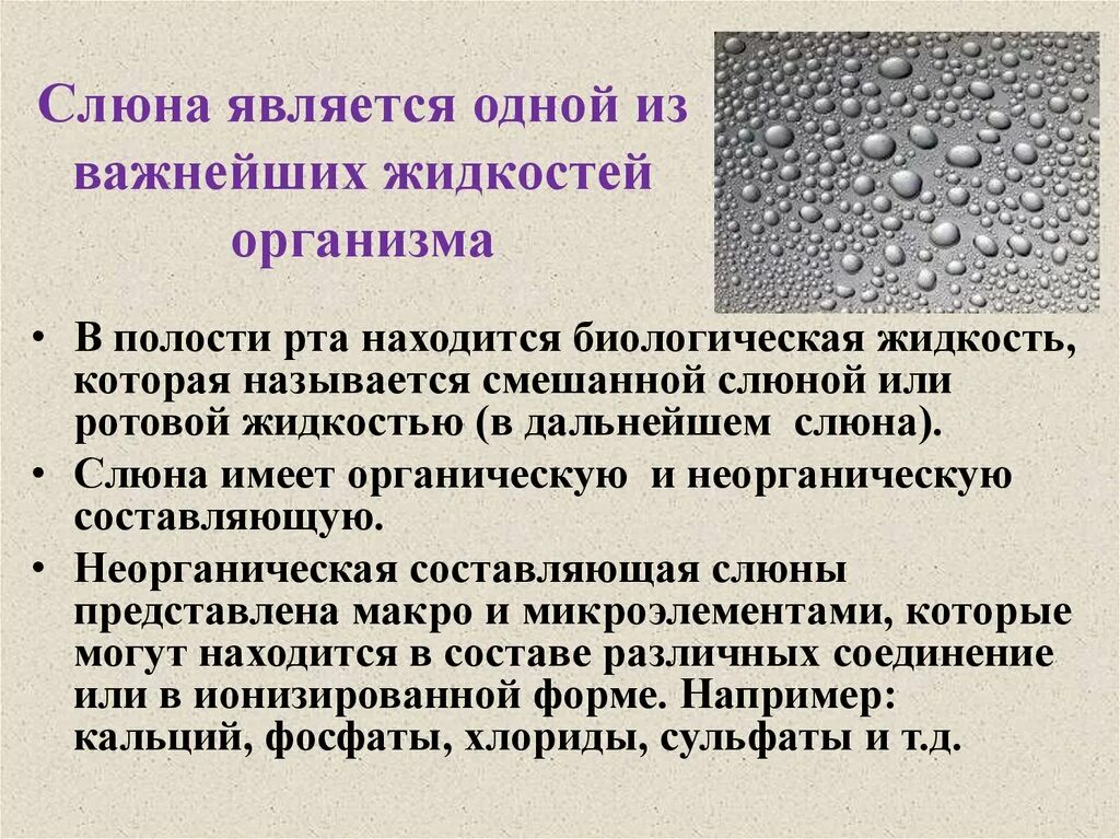 Найти слюна. Слюна биологические жидкости. Биохимия биологических жидкостей. Слюна в биологии кратко.