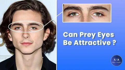 Hunter eyes
