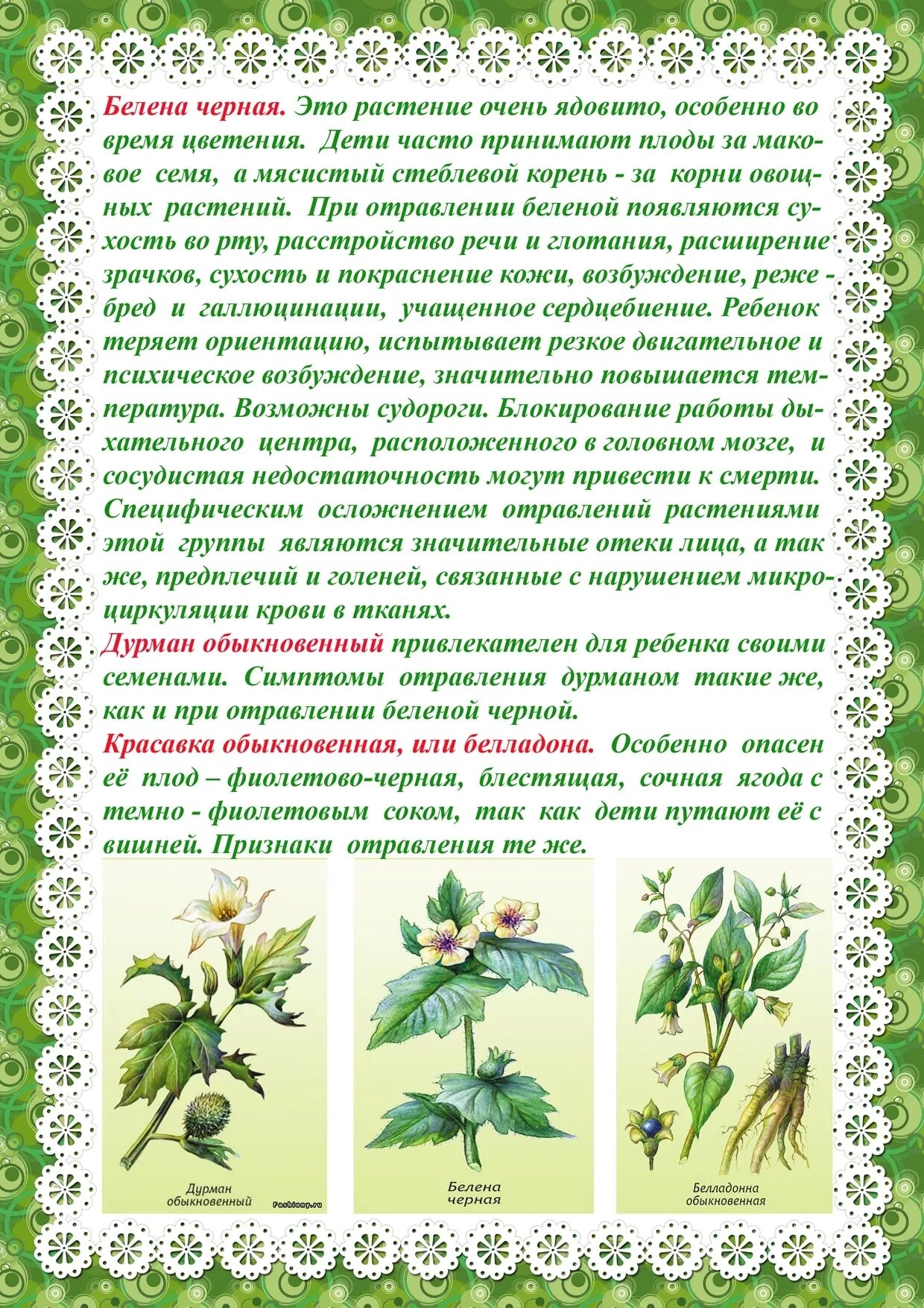 Папка передвижка растения. Лексическая тема первоцветы в средней группе. Папка передвижка растения. Осторожно ядовитые растения консультация для родителей. Папка передвижка растения.