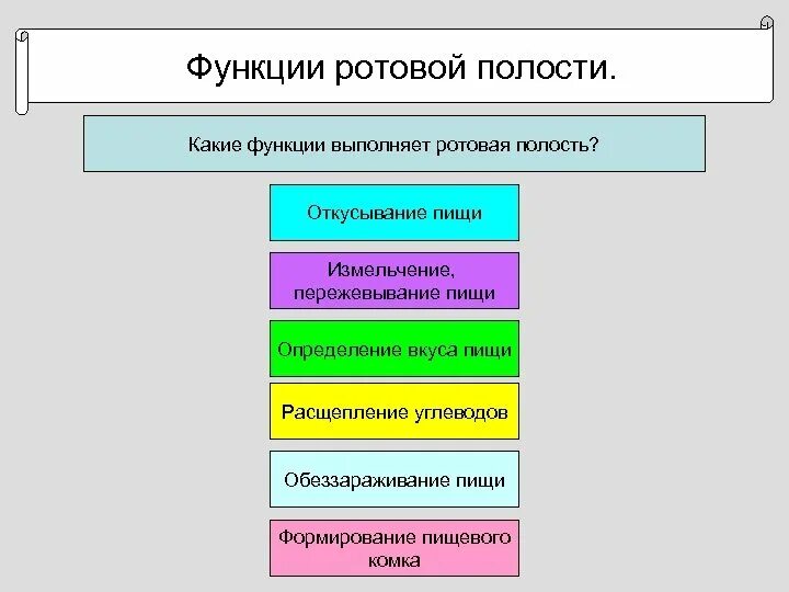 Какие функции выполняет ротовая полость человека. Выполняемые функции ротовой полости. Функция ротовой полост. Хункцые ротовой полости. Функция ротововой полости.