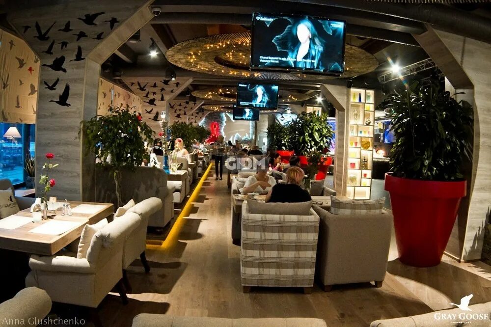Grey goose мурманск. Мурманск проспект ленина 52 gray goose. Gray goose ресторан мурманск. Ресторан гусь мурманск. Ресторан грей гус мурманск.