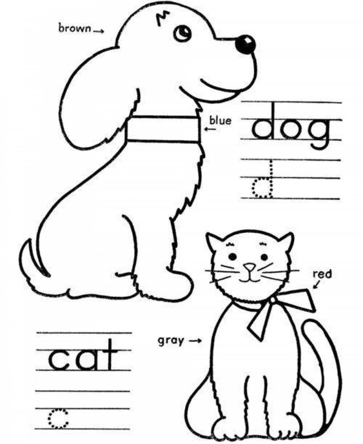 Нарисовать животное 3 класс английский язык. Раскраска на английском для детей. Кошки. Раскраска. Кошки и собаки раскраски для детей. Прописи животные на английском.