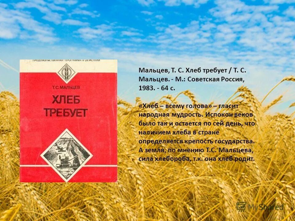 Пословица наука хлеба не просит. Ленинградцы дети. Хлеба и зрелищ. Наука хлеба не просит а сама пословица. Текст песни на горе на горушке.