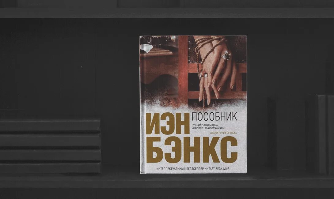 Книга детектив маньяк. Иэн Бэнкс пособник. Топ книг про маньяков. Детективы про серийных убийц книги.