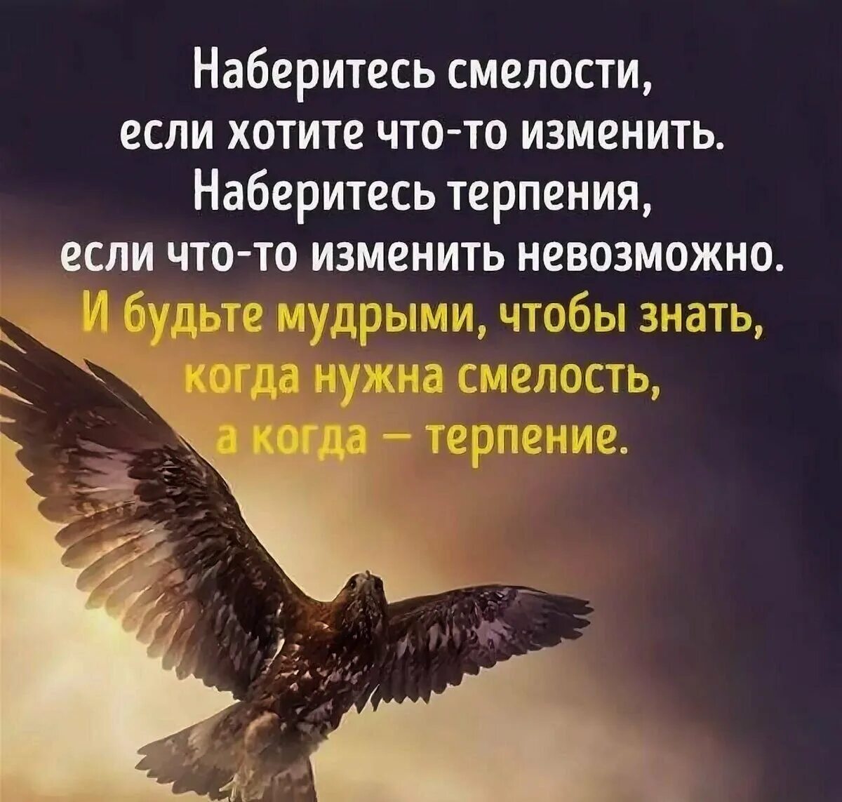 Сила терпение мудрость. Высказывания о смелости. Цитаты про смелость. Мудрые мысли. Мудрые фразы.