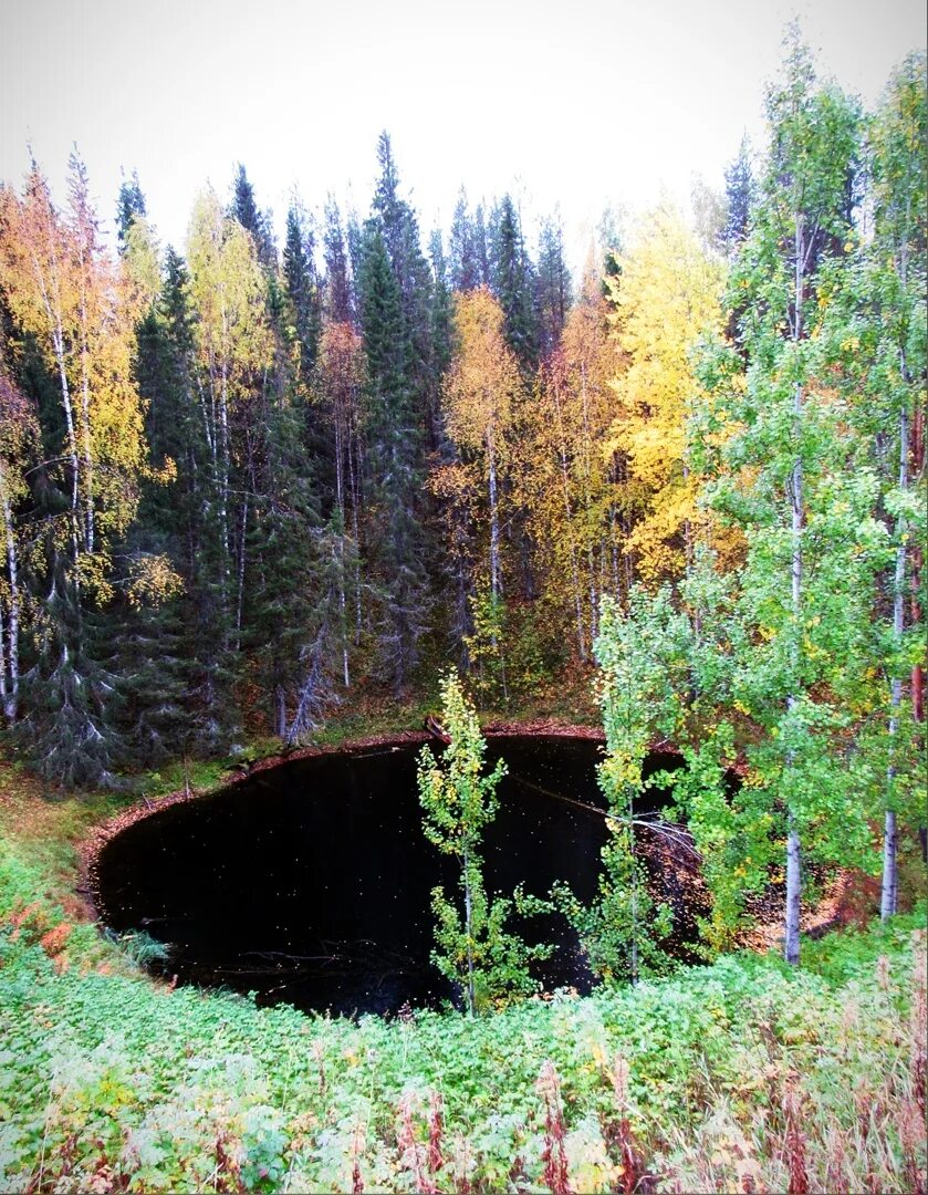 Параськины озера Ухта. Параськины озера Республика Коми Ухта. Параськины озера ООПТ. Карстовые озера Ухта. Параськиных озерах