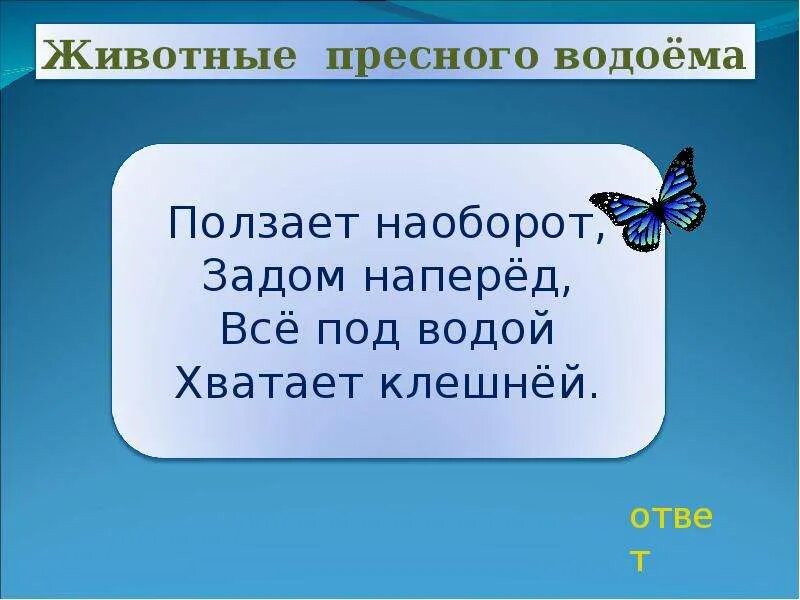 Загадка водоем. Загадки о жителях водоемов. Загадки обитатели пресного водоемов. Загадки про животных пресных водоемов. Загадки про обитателей водоемов.