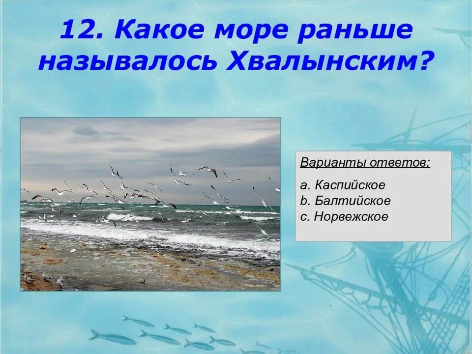 Какое море. Викторина ко дню моря. какое море раньше называлось русским. какими раньше были моря. как раньше называлось черное море.