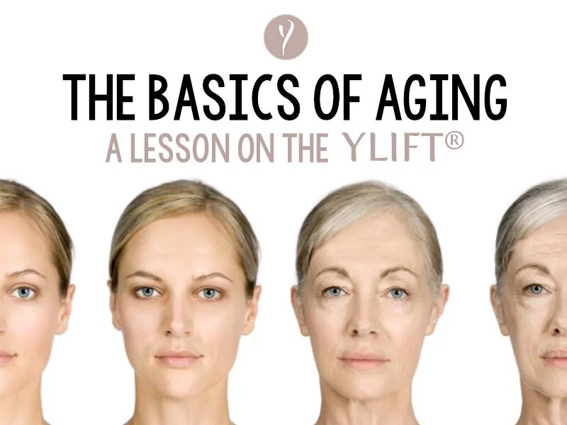Ageing net