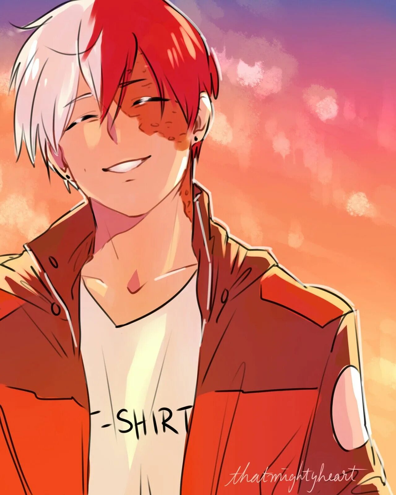 Todoroki reader