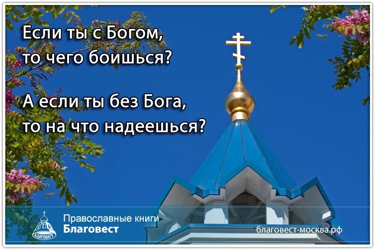 Кротовский побойтесь бога fb2