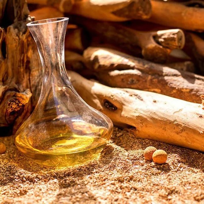 Как пахнет сандал в парфюмерии. Сандаловое масло. сандаловое масло sandal wood. сандаловое дерево в индии. sandalwood oil сандаловое масло.