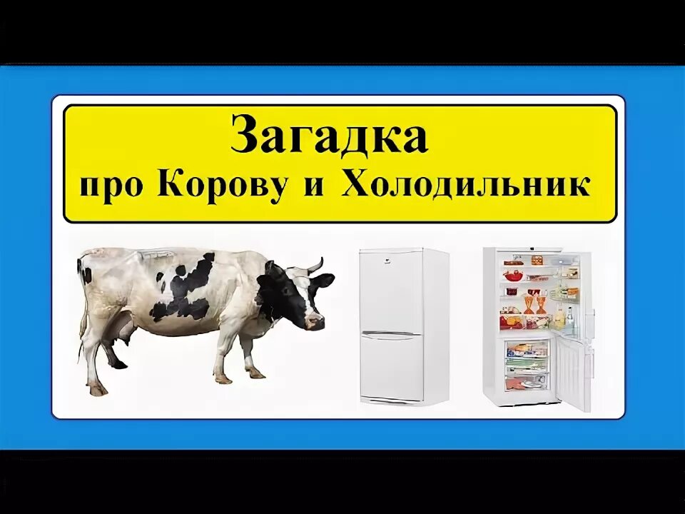 Что пьет корова загадка. Головоломка про холодильник. Загадка про холодильник. Загадки прихолодильник. Загадка про корову.