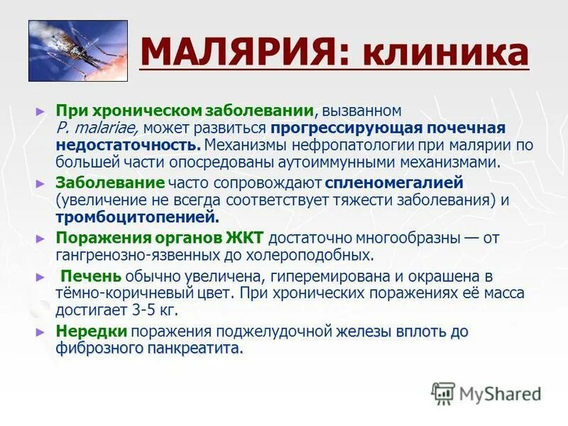 Ранние рецидивы при малярии. Малярия клиника. Осложнения при малярии. Малярия клиника диагностика. Классификация малярии.