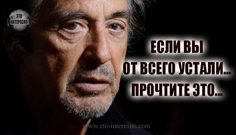 Просто почитать. Просто прочтите. Просто читай. Просто прочти. Ты просто прочти.