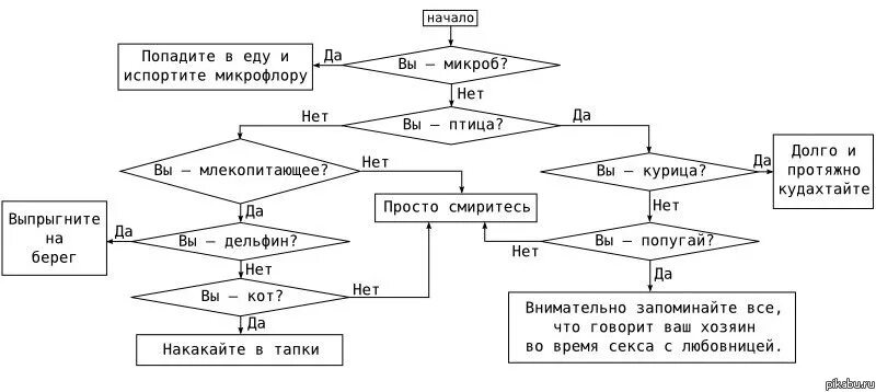 Алгоритм да нет. Смешные блок схемы. шуточные алгоритмы. блок схема юмор. блок схема прикол.