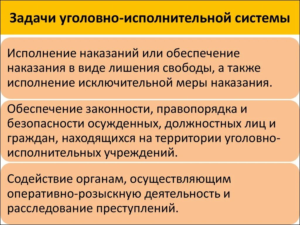 Уголовно исполнительная деятельность