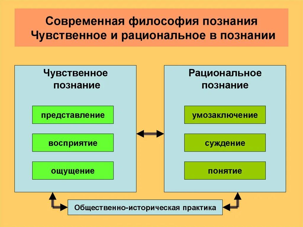 Чувственное и рациональное философия. Чувственное и рациональное познание. Этапы познания чувственное и рациональное. Познание рациональное познание философия. Чувственное и рациональное познание философы.