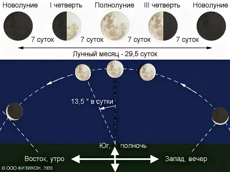 Схема луны в течение месяца. Положение Луны. Движение и фазы Луны. Видимое движение Луны. Движение Луны фазы Луны.