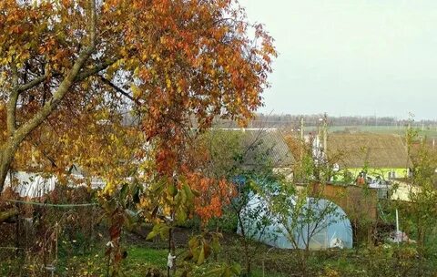 Огород поздней осенью