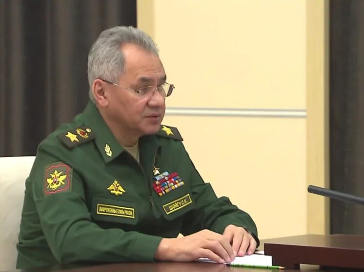 Шойгу мобилизованные. Шойгу мобилизованные