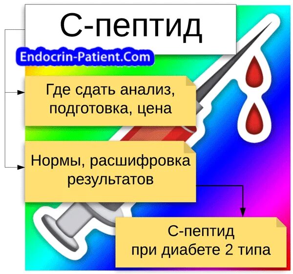 Пептид сдать анализ. Исследование с пептида при сахарном диабете. пептиды это. с-пептид что показывает. что такое с-пептид в анализе крови.
