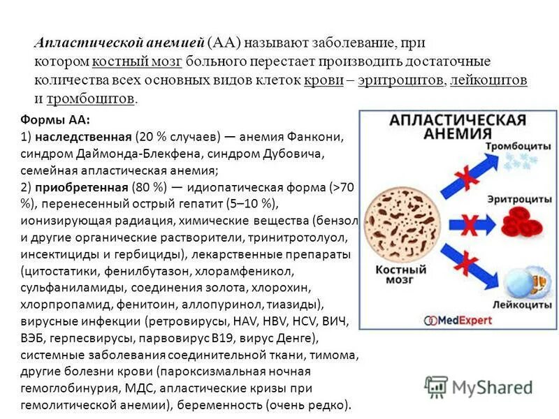 мегаплостическая онемия. к наследственной апластической анемии относится:. этиологические факторы апластической анемии. дисплатическая анемия.
