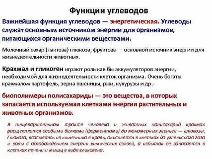 Источником энергии в организме служат