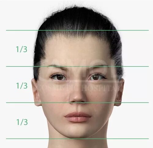 Пропорции лица в макияже. Длинная средняя треть лица. Идеальное лицо девушки пропорции. Правильные пропорции лица женщины.