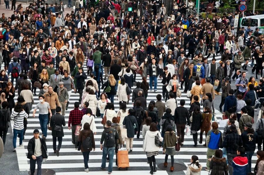 Огромное количество проблем. Население Рязани на 2022. Население Японии на 2022. Токио перекресток Сибуя. Человек толпы.