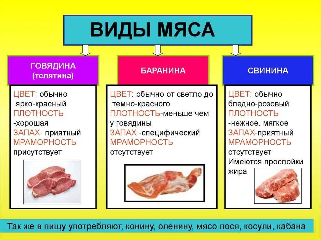 Как отличить свинину. Виды мяса. Мясо и мясные продукты виды. Типы говяжьего мяса. Мясо виды мяса.