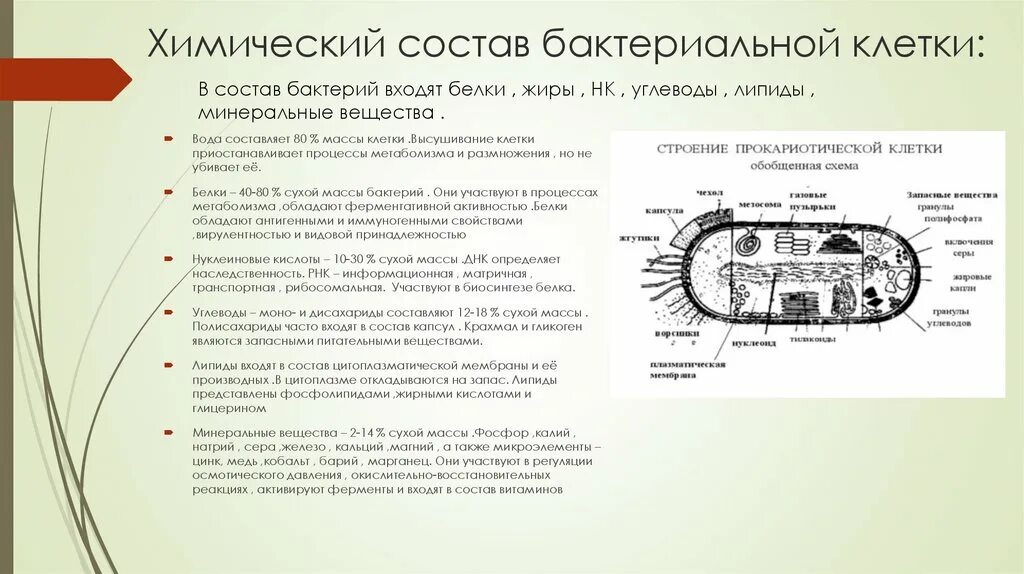 При резких изменениях температуры бактериальная клетка образует. Структура и химический состав бактериальной клетки. Строение клетки бактерии и химический состав. Химическая структура бактериальной клетки. Химическое строение бактериальной клетки.