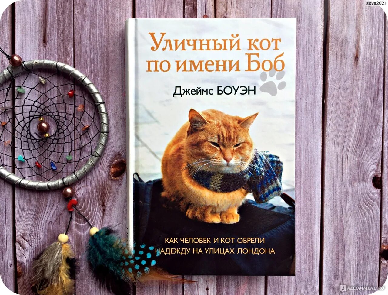 Книга про боба. Уличный кот по имени Боб книга.
