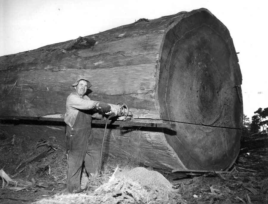 Logging persistent