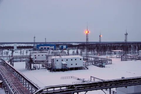 береговое месторождение новатэк