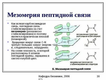 Являются биологическими катализаторами содержат пептидные связи