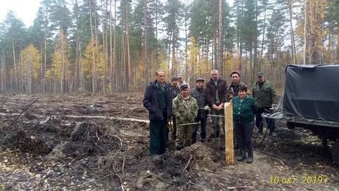 Лесничество ульяновск