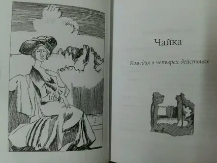 Чехов чайка читать