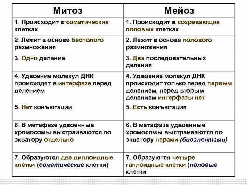 Тест по теме мейоз 9. Таблица половое размножение мейоз. сравнение типов деления клеток таблица митоз мейоз. таблица «сравнение способов деления клеток». сравнительная характеристика процессов деления клетки.