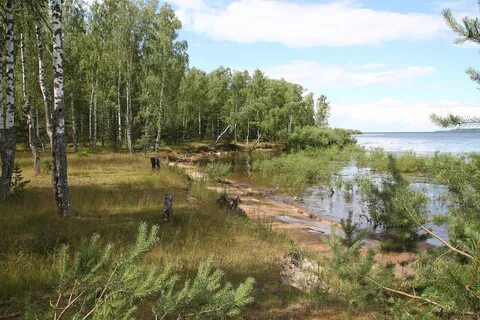 Остров рыбинск