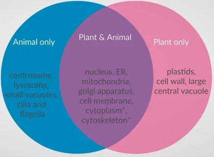 Many plant and animal