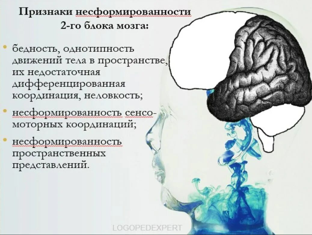 Блоки мозга нейропсихология 3 блок. Три блока головного мозга Лурия. Функции 2 блока мозга по Лурия. Функции первого блока мозга Лурия. Функциональное нарушение мозга