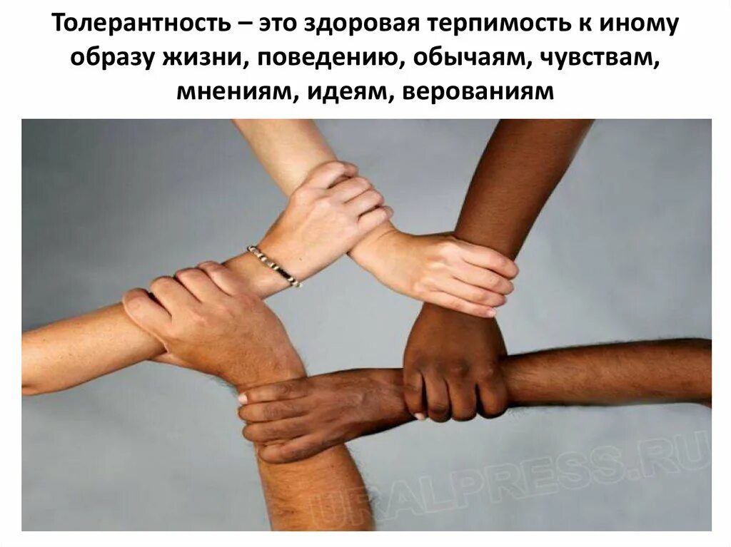 Толерантность в общении это. Толерантность. проявление толерантности. моральная толерантность. толерантность и терпимость.
