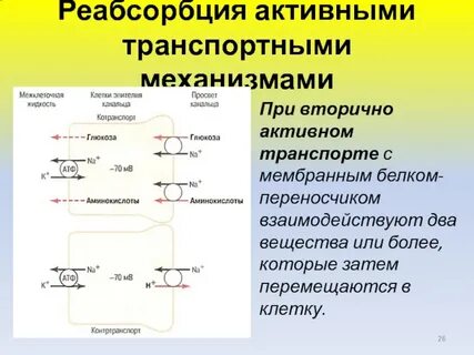 Обратное всасывание