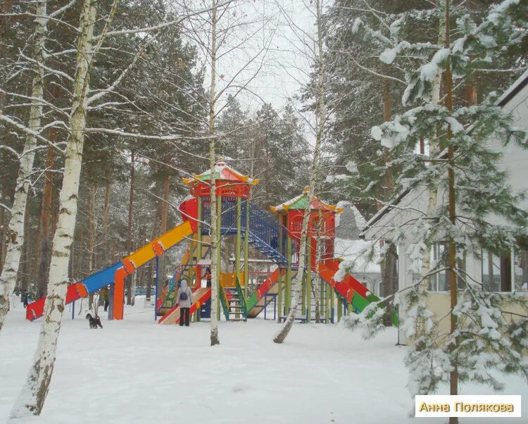 Солотча парк. Парк Солотча Рязань. Рязань парк в некотором царстве зимой. Солотча зимой Рязань. Зима в Солотче в некотором царстве.